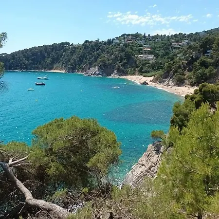 La Calma De Tossa Apartment Girona