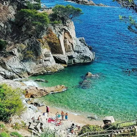 Apartament La Calma De Tossa Girona